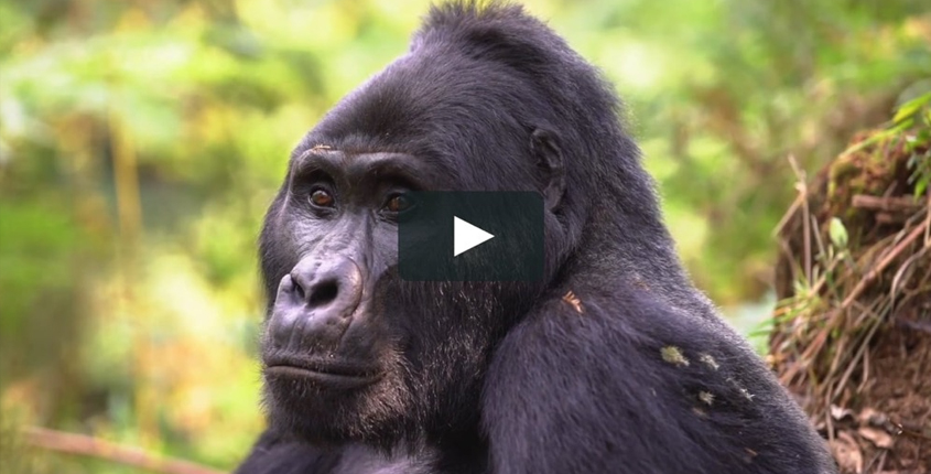 Free Restaurant Bootstrap Website Template by FreeHTML5.co