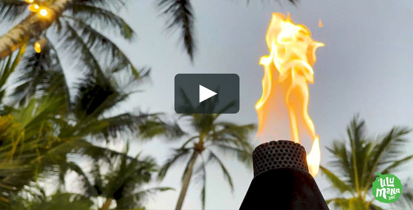 Free Restaurant Bootstrap Website Template by FreeHTML5.co